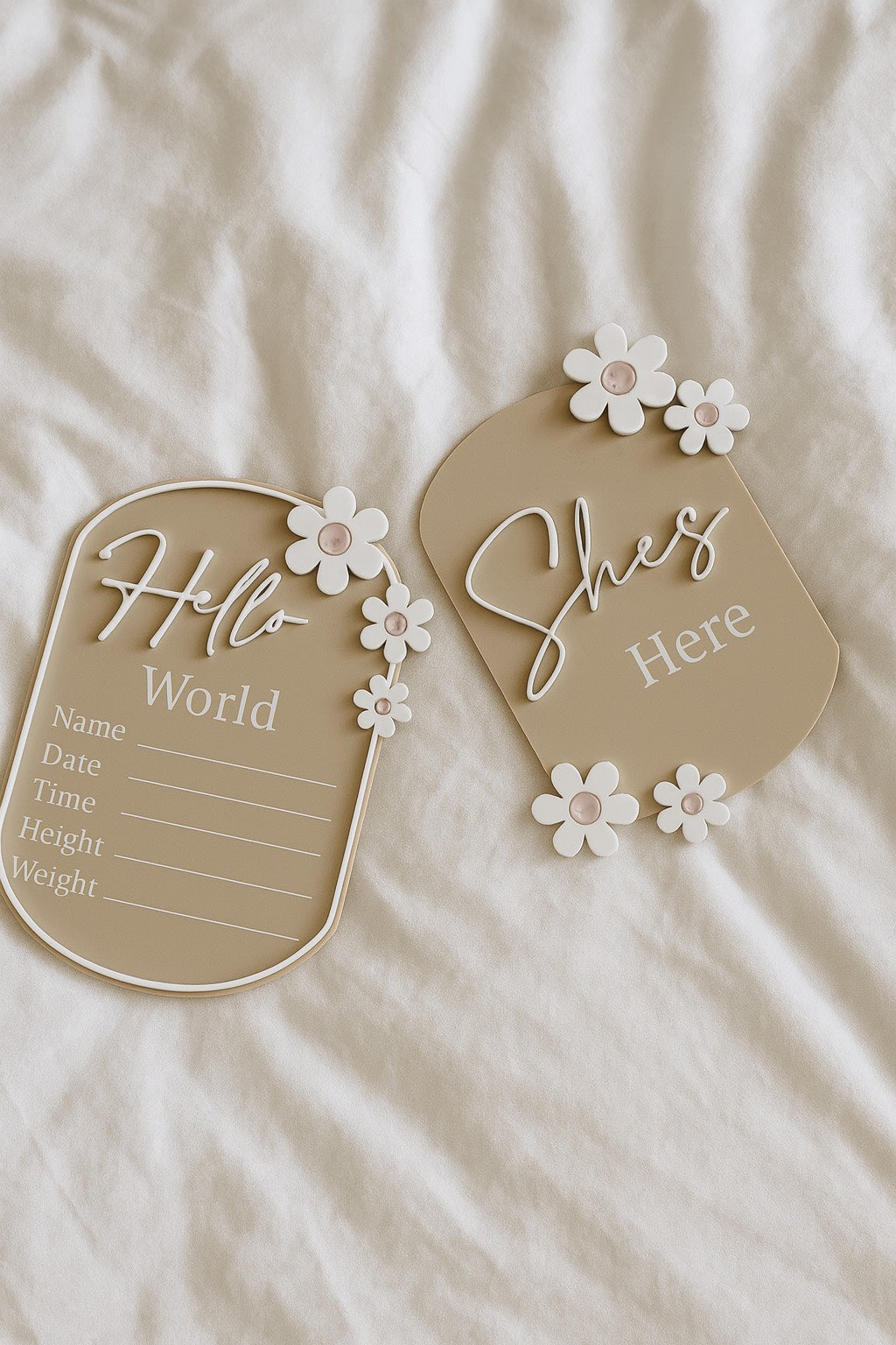 2 x hello world + she's here plaque